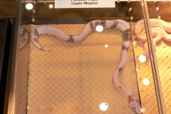 003-3